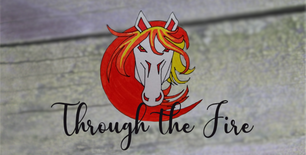 Through the Fire Blogs
